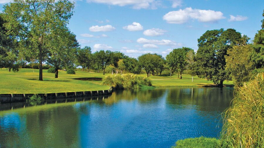 Pine Forest CC