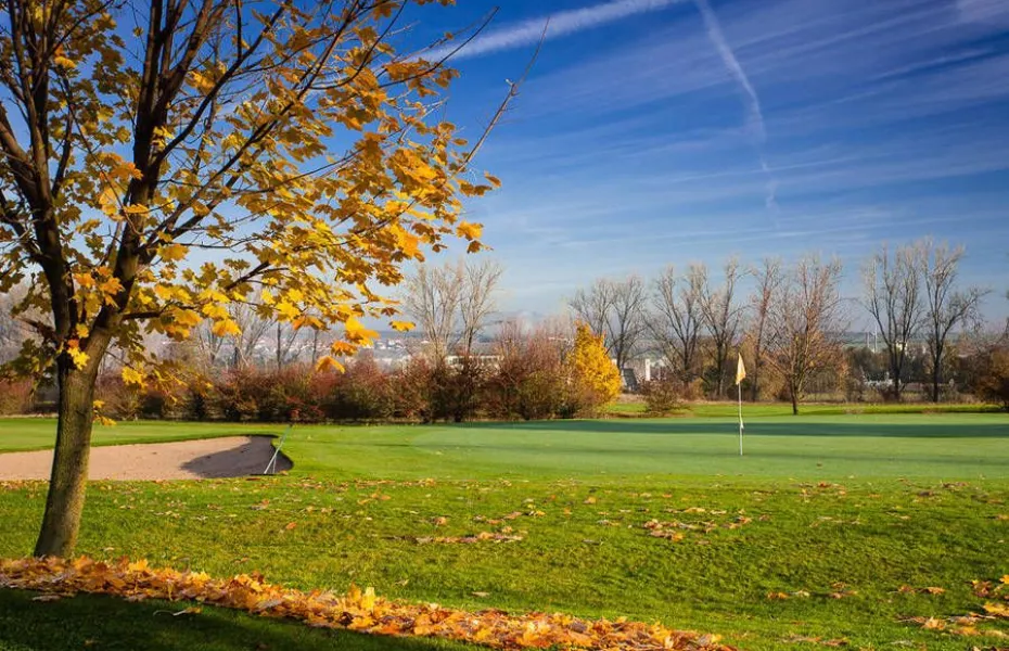 Schloss Mainsondheim GC