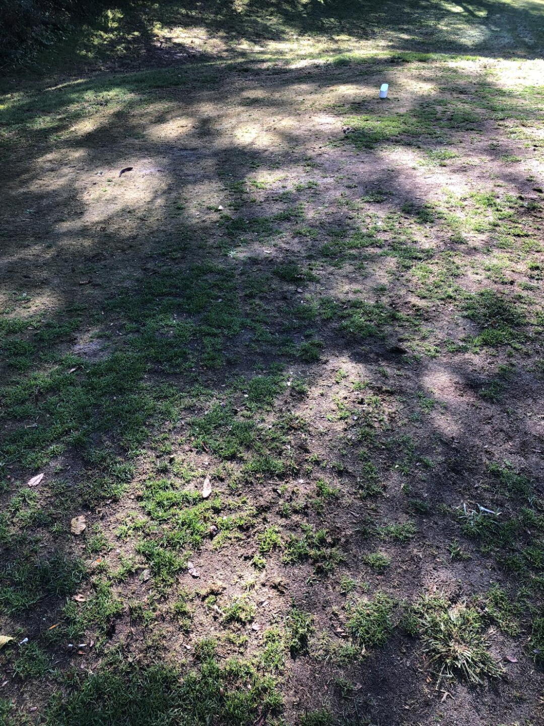Tee Box at number 16 (Photo submitted by mashedpotatoes on 09/26/2021)