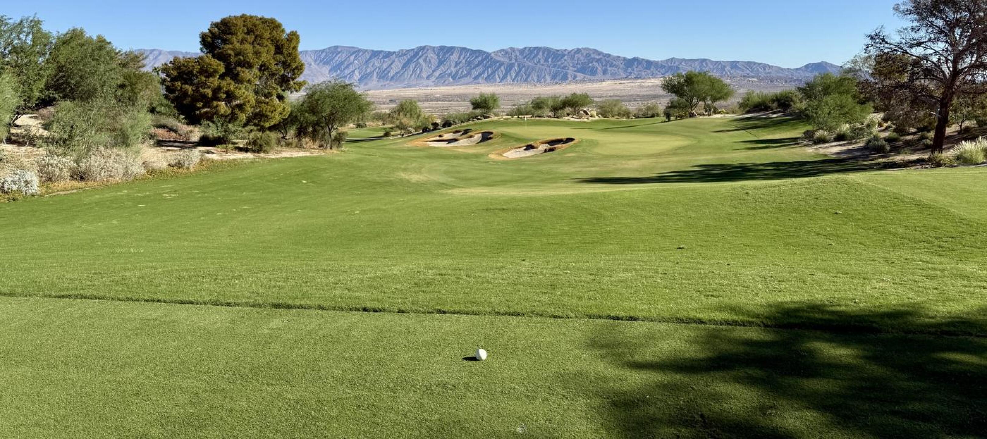 (Photo submitted by u314164028636 on 10/14/2024)