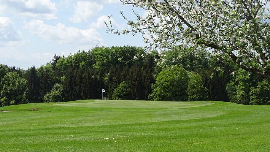 Oberrot-Frankenberg GC