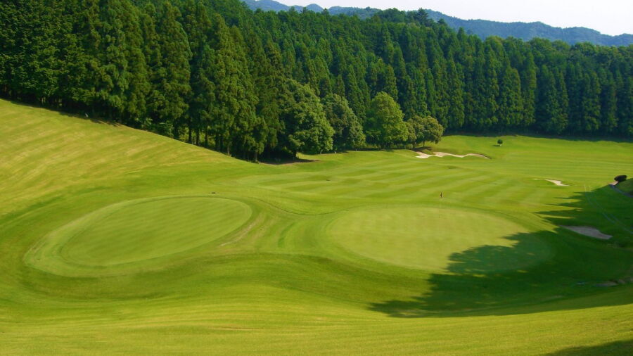 Hanno Park CC