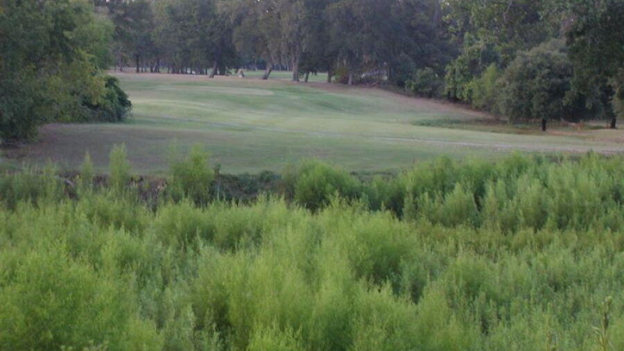 Stephen F. Austin GC