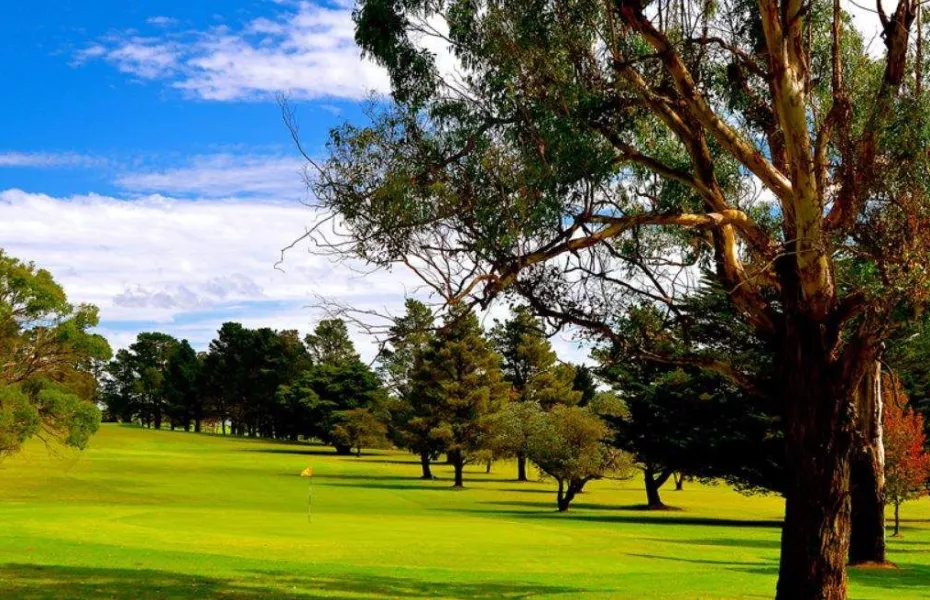 Glen Innes GC