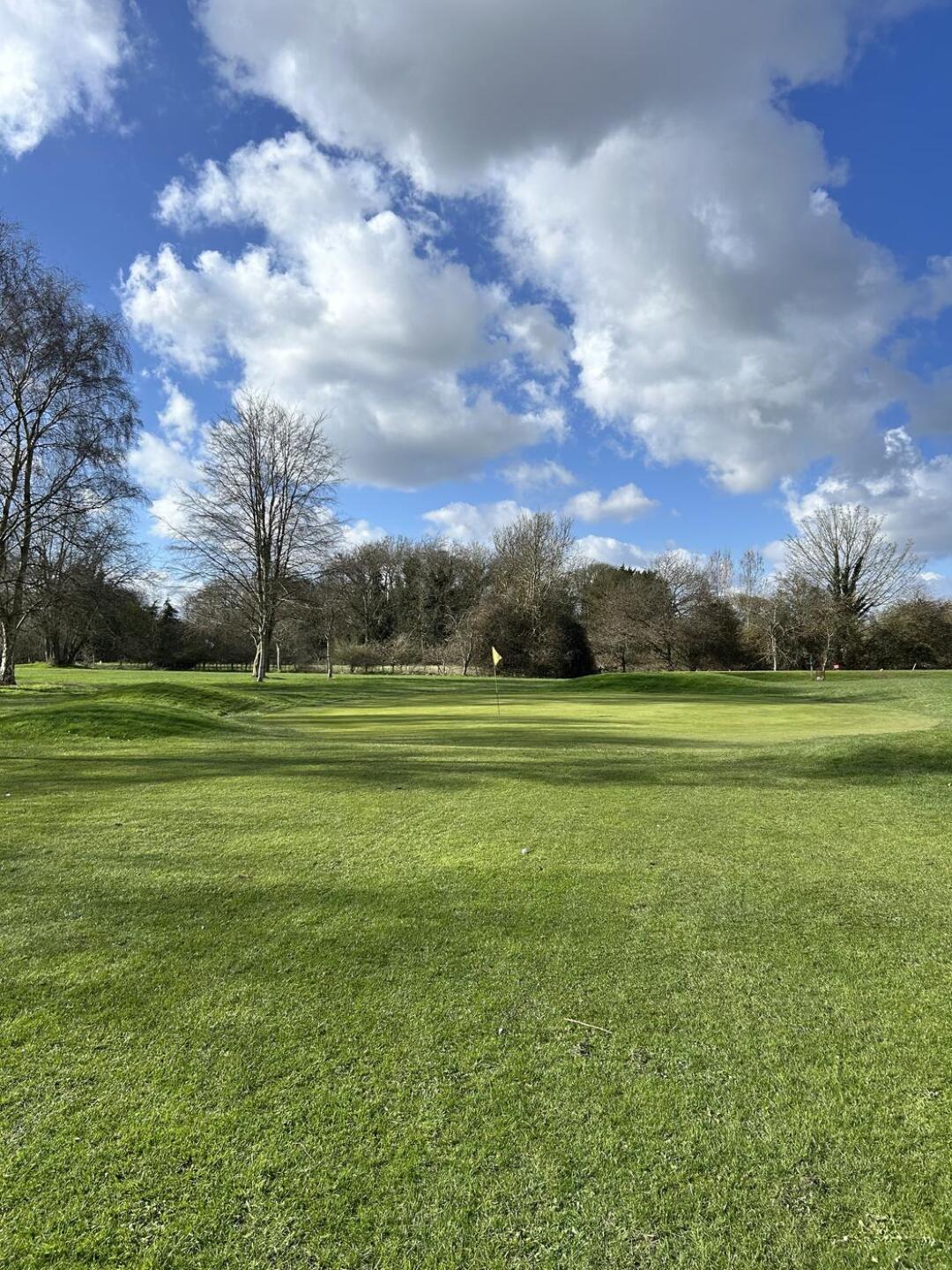 (Photo submitted by Paddywacker123 on 03/15/2026)