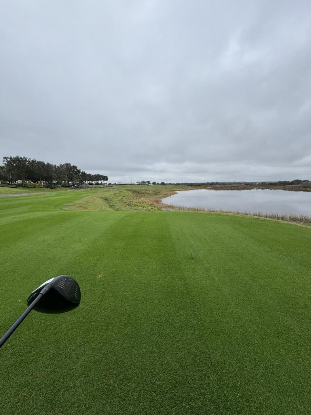 (Photo submitted by u314162408708 on 12/31/2024)