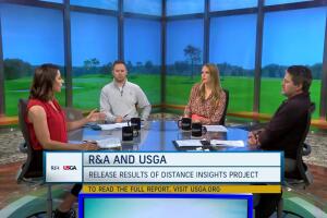 Should Amateurs and Pros Play by a Different Set of Rules?