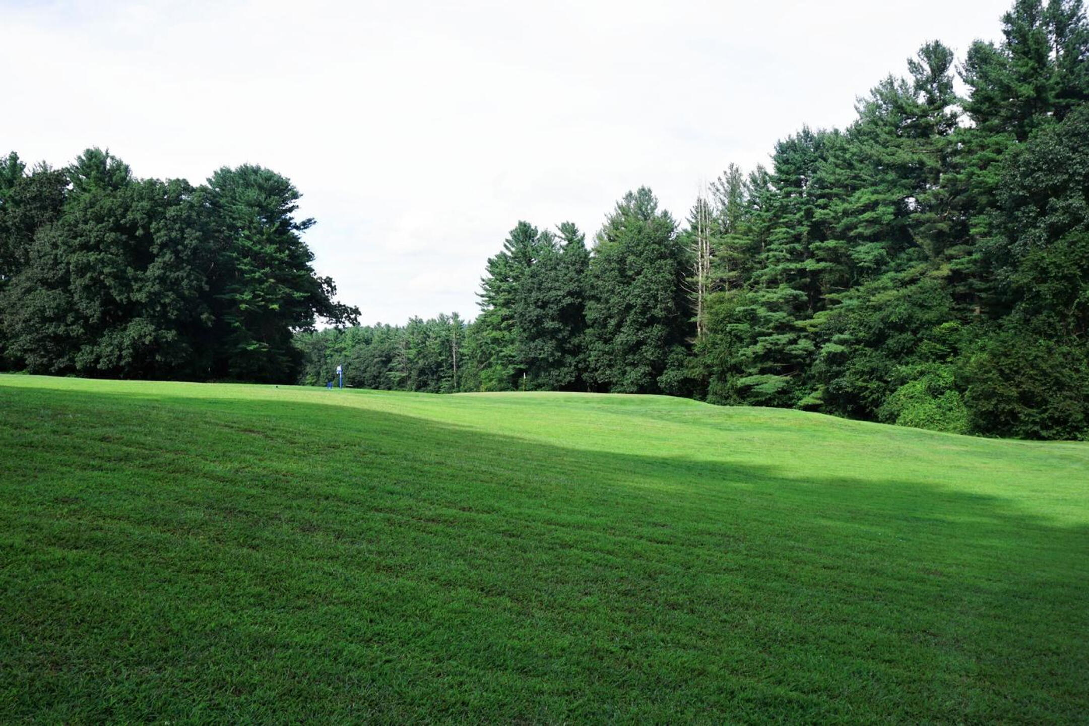 Looking back at green two: An example of the secluded and pleasant backdrop to Woodstock GC. (Photo submitted by AptlyLinked on 08/22/2021)