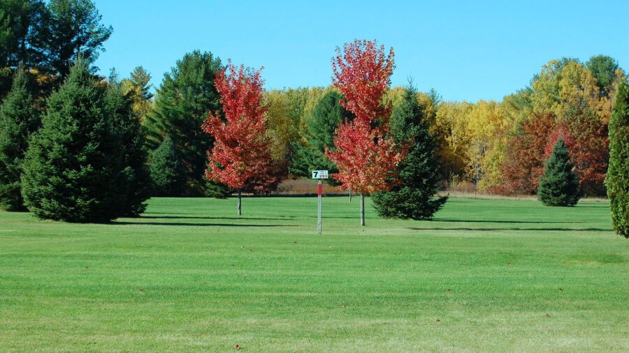 Twin Oaks GC
