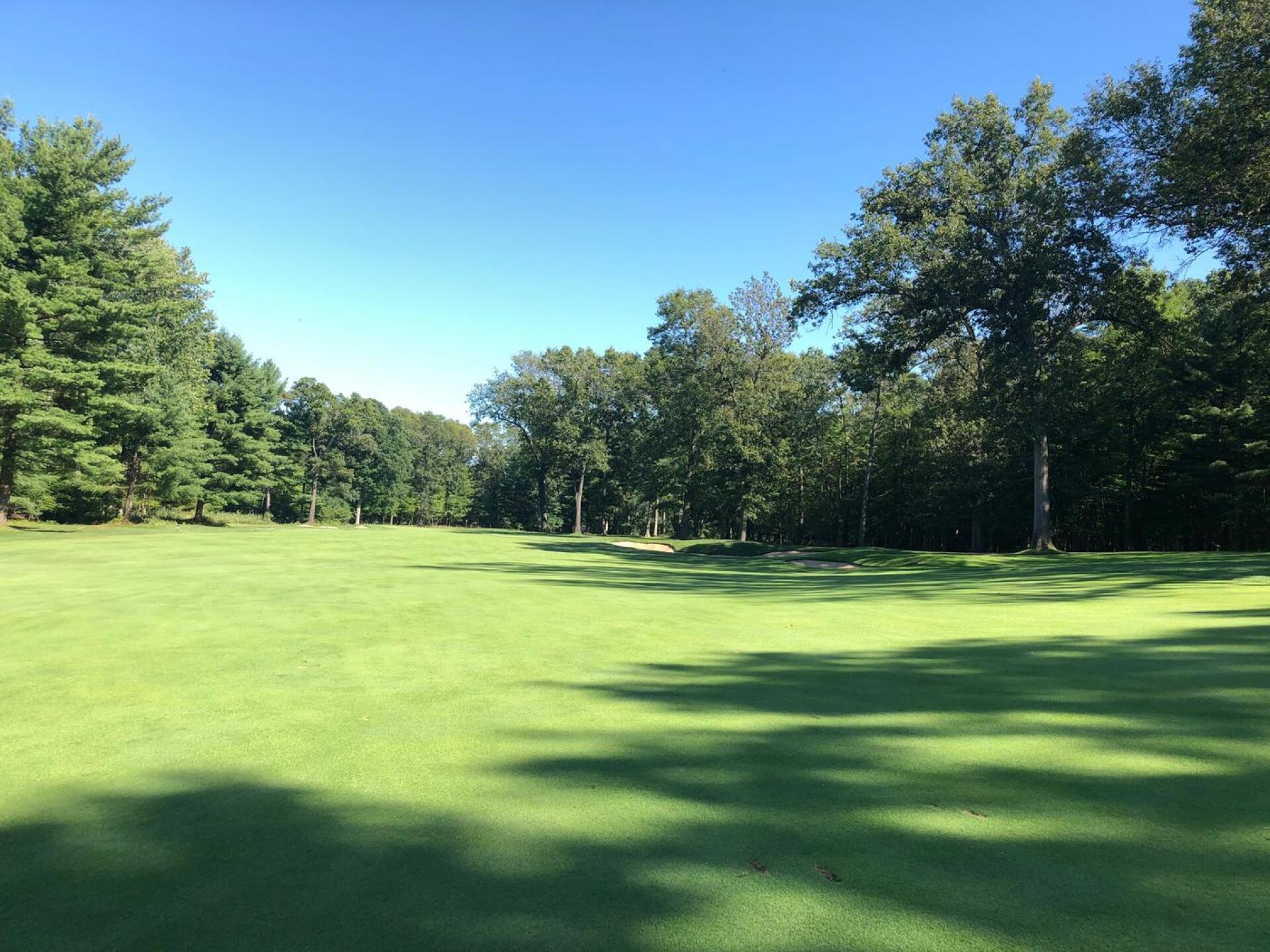 (Photo submitted by nRUbkXz1Jf8Bu6zr37Pj on 08/24/2020)