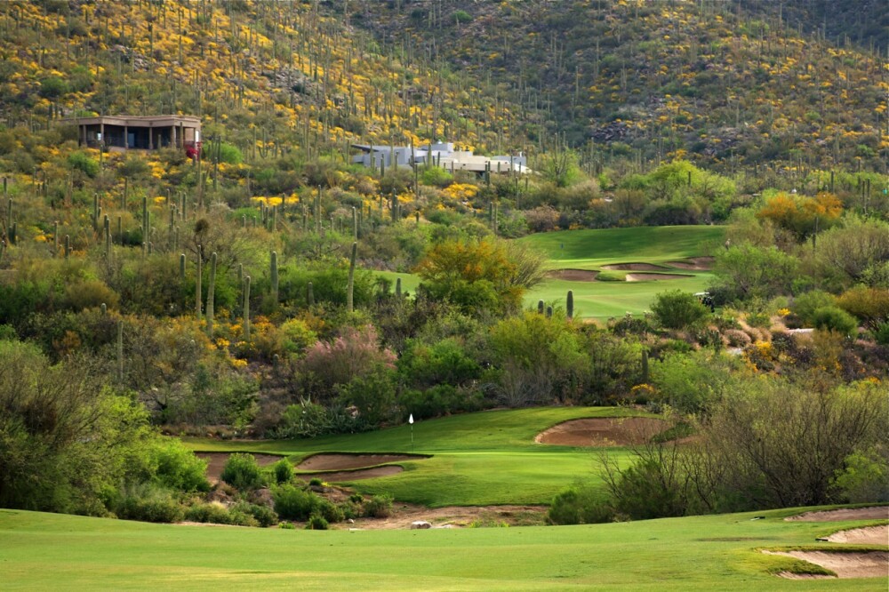 Arizona National Golf Club in Tucson