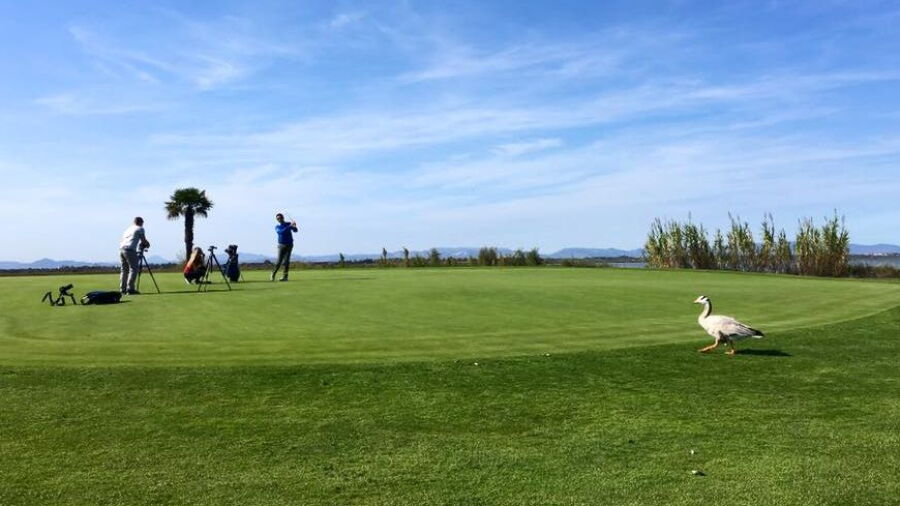 Saint Cyprien Golf & Resort