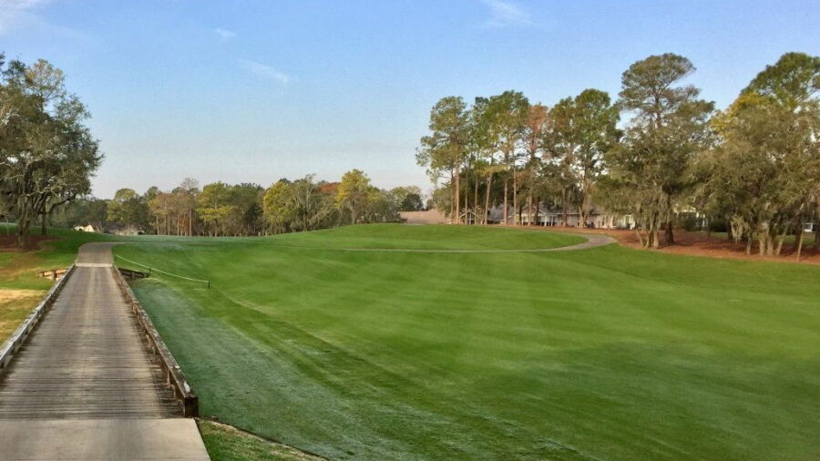 Timber Pines