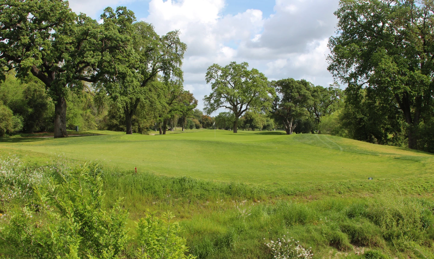 Haggin Oaks - MacKenzie golf course - no. 14