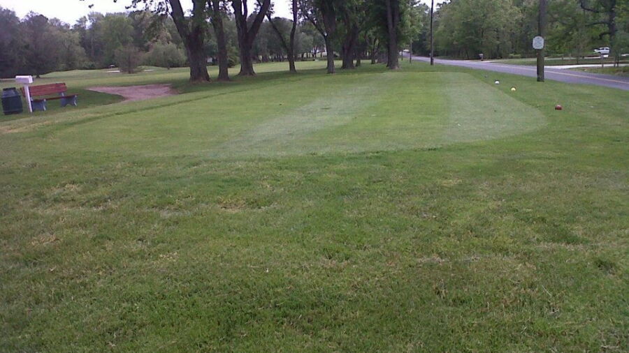 Latona CC: #2