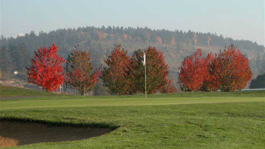 Sumner Meadows GL: #4