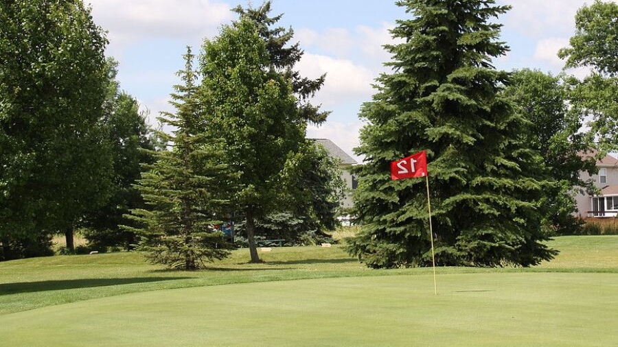 Shady Grove GC: #12