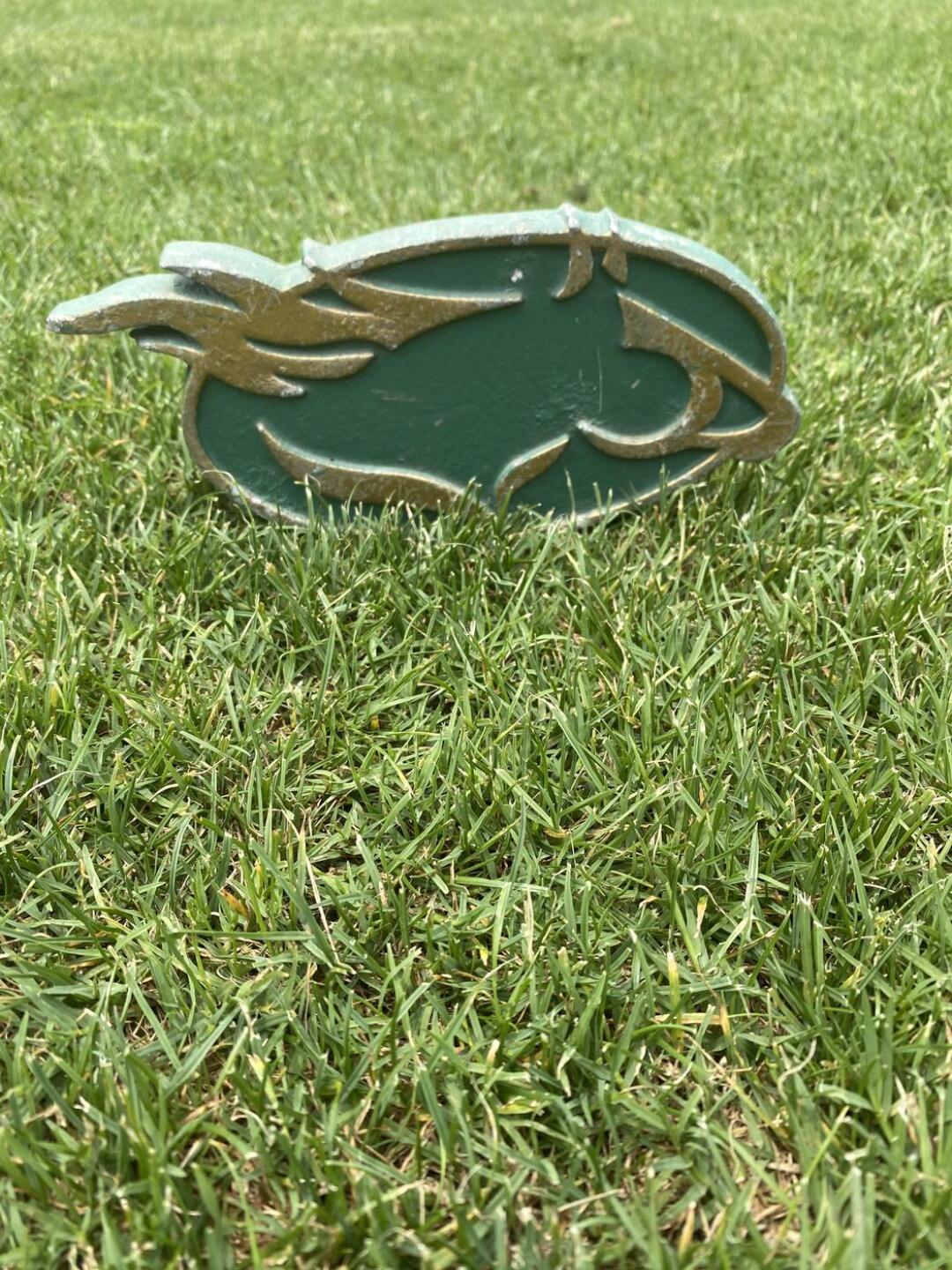 (Photo submitted by Debhoov on 04/15/2021)