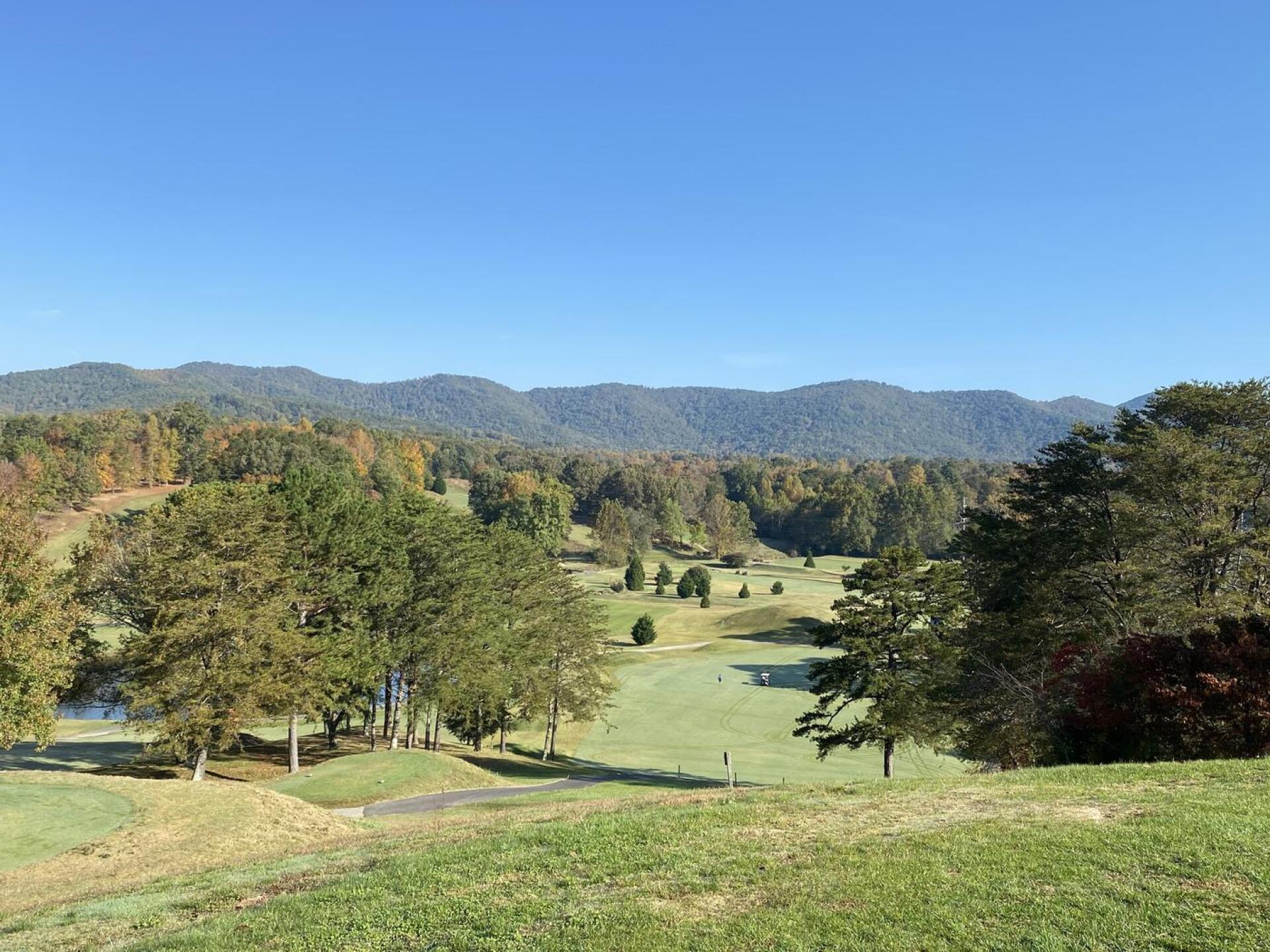 (Photo submitted by u314160450345 on 10/20/2020)