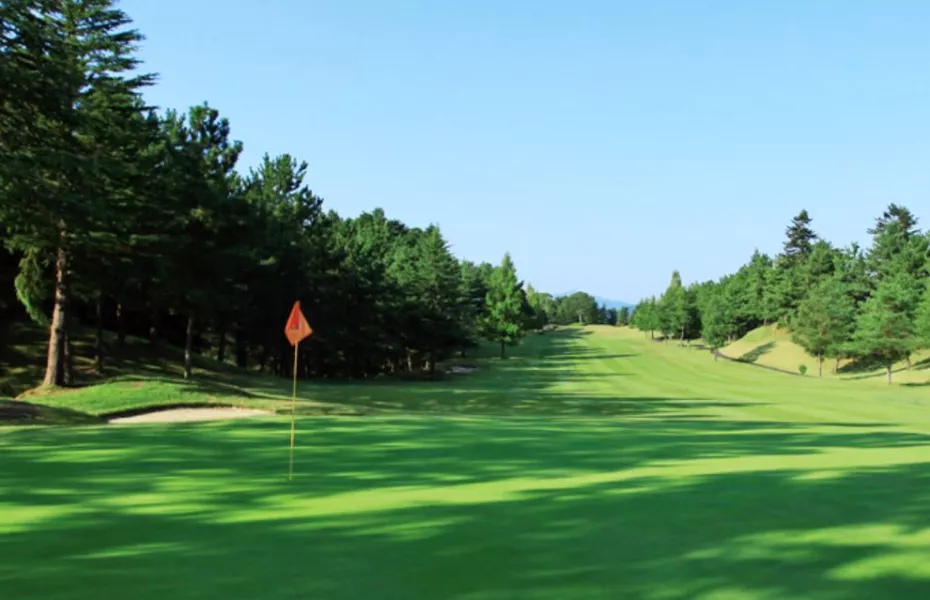 A view of a hole at Tokyo Birdie Club.