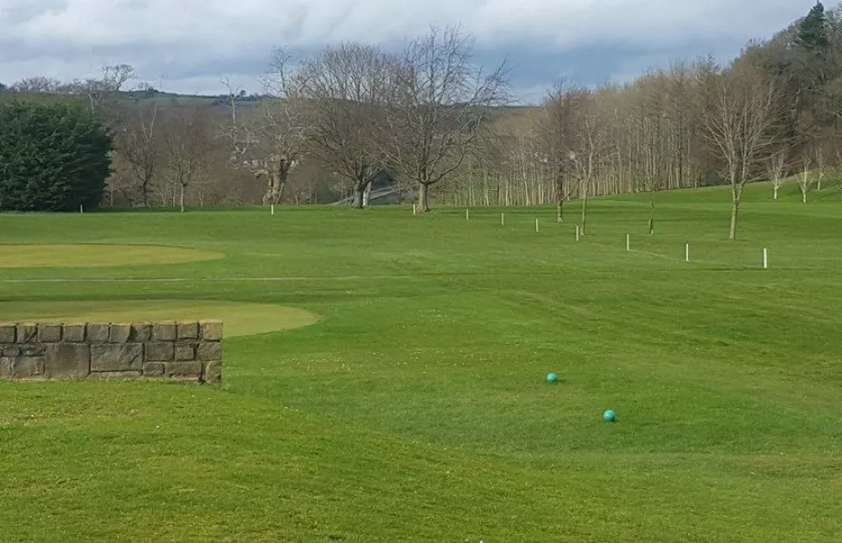 Cahir Park GC: #18