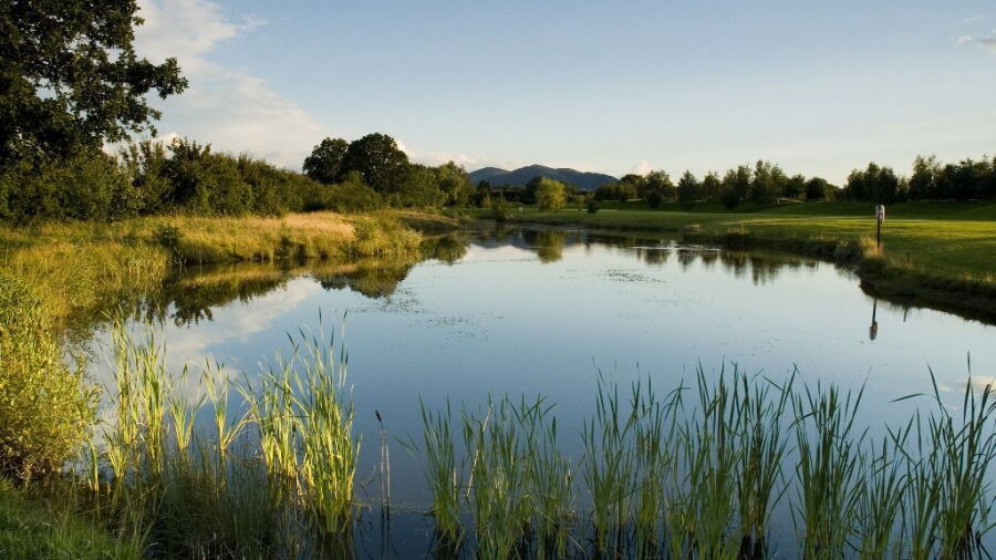 View from Bransford Golf Course