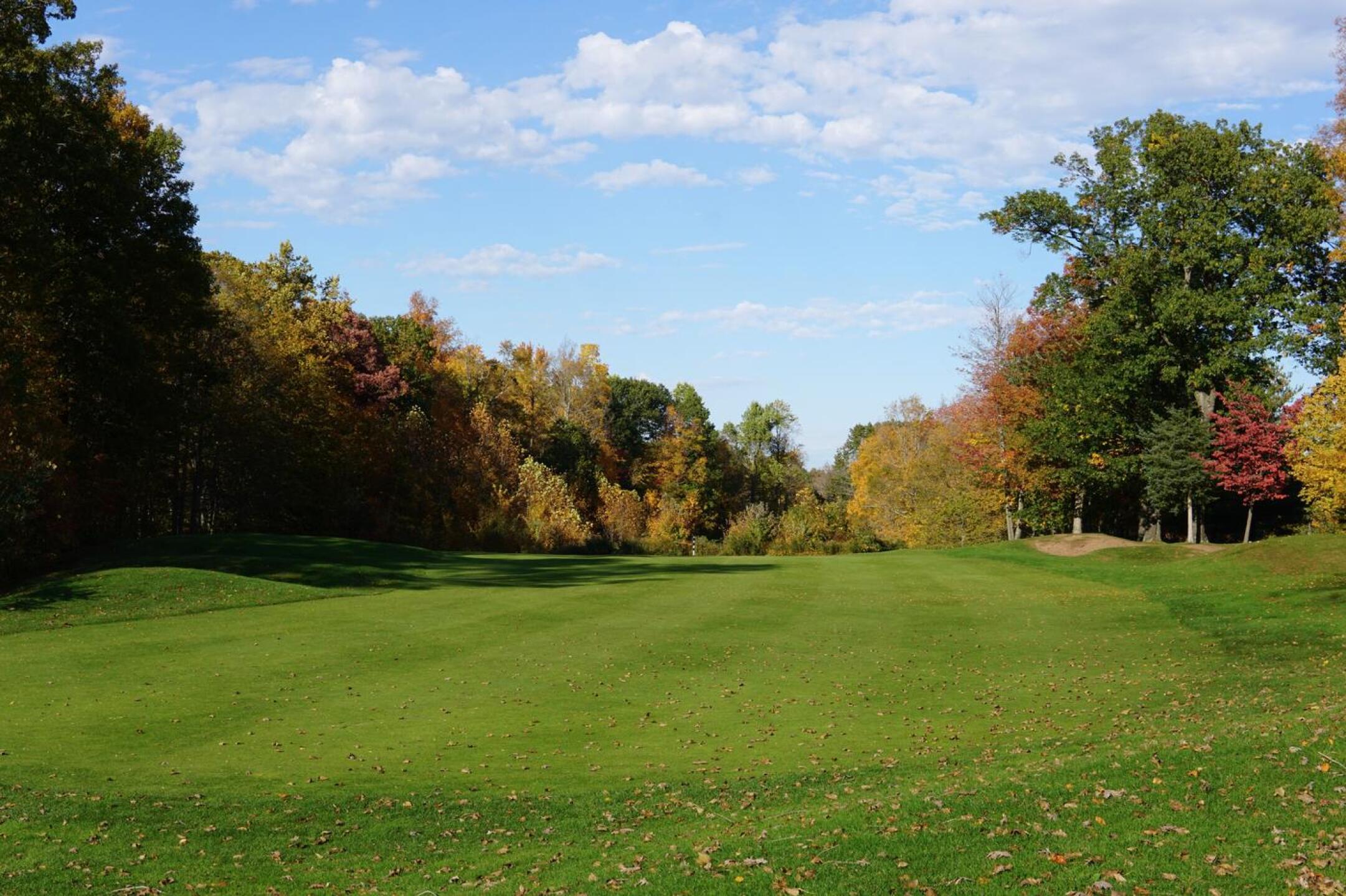The third hole is a brutal par-4 that plays over a brushy, deep pit. The view here looks backward down the fairway, toward the abyss. (Photo submitted by AptlyLinked on 10/24/2023)
