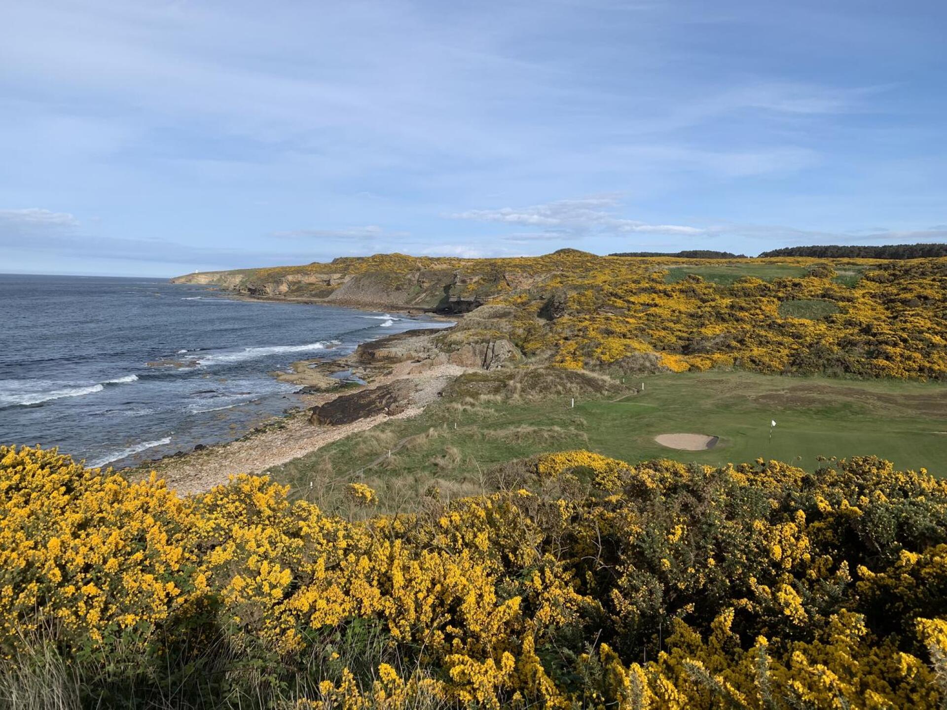 (Photo submitted by GolfNowColin13 on 04/25/2025)