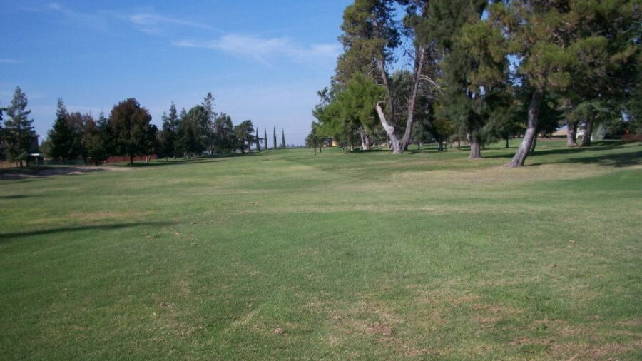 Elkhorn CC: #4