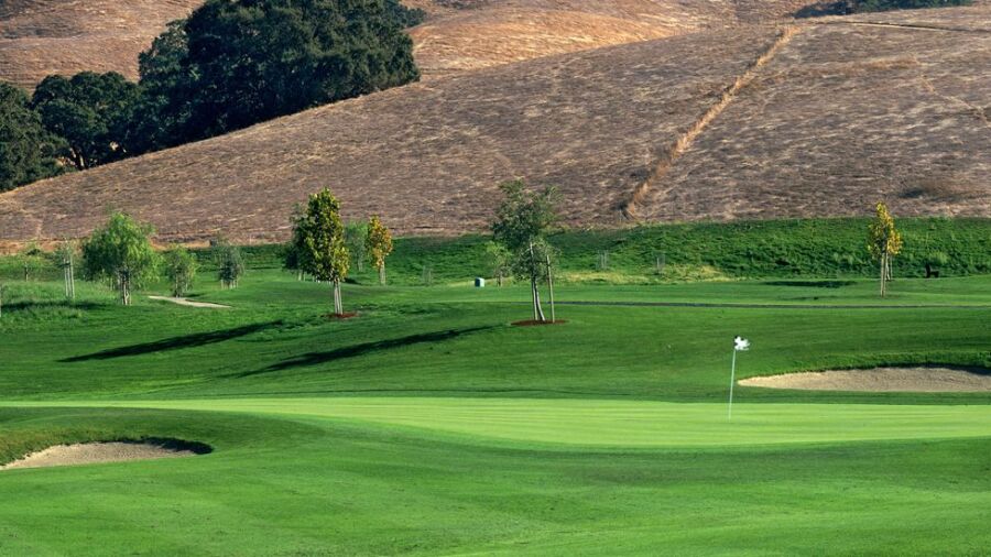 Callippe Preserve GC: #6