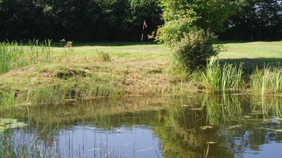 Sturminster Marshall GC: #6