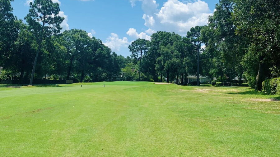 Tanglewood GCC