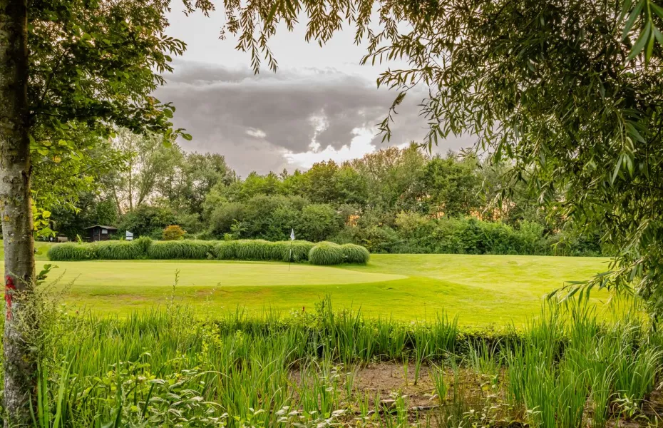 Royal Amicale Anderlecht GC