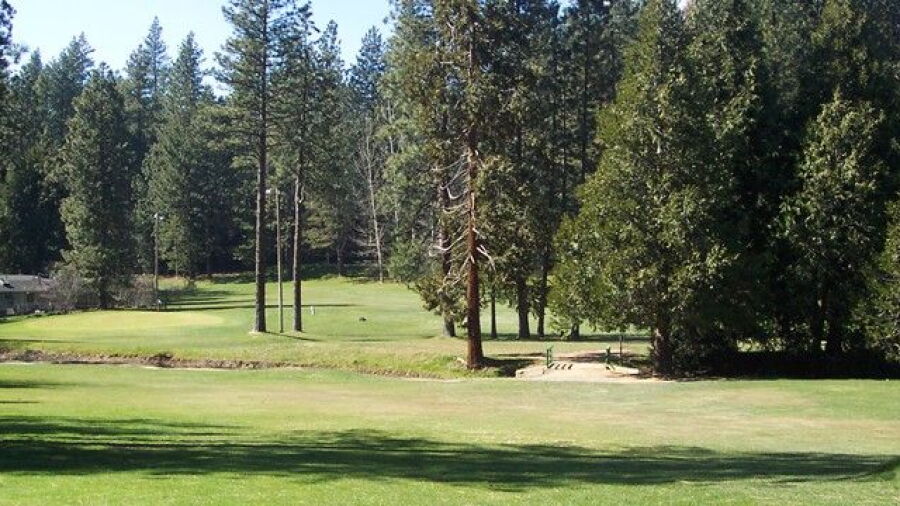 Twain Harte GC: #3