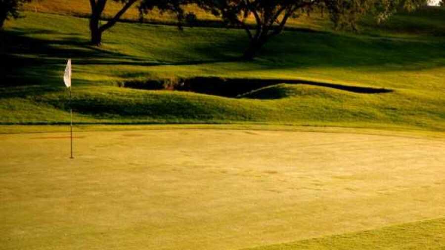 Sidney CC