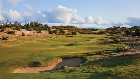 Old Macdonald: #4