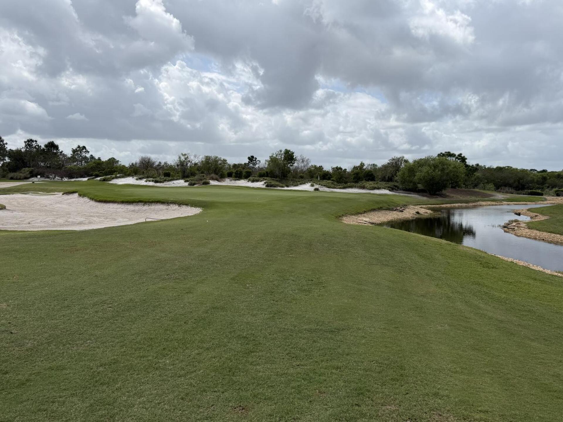 (Photo submitted by dlpetrella on 04/01/2026)