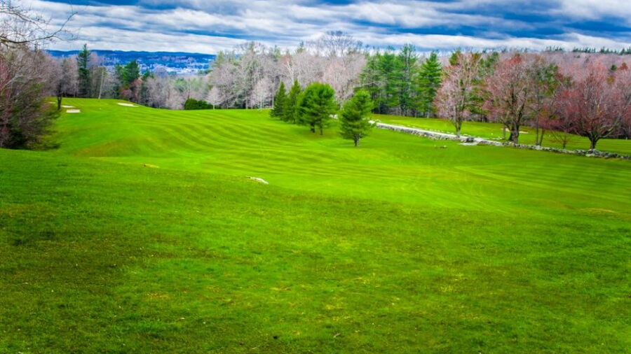 Hooper GC: #1