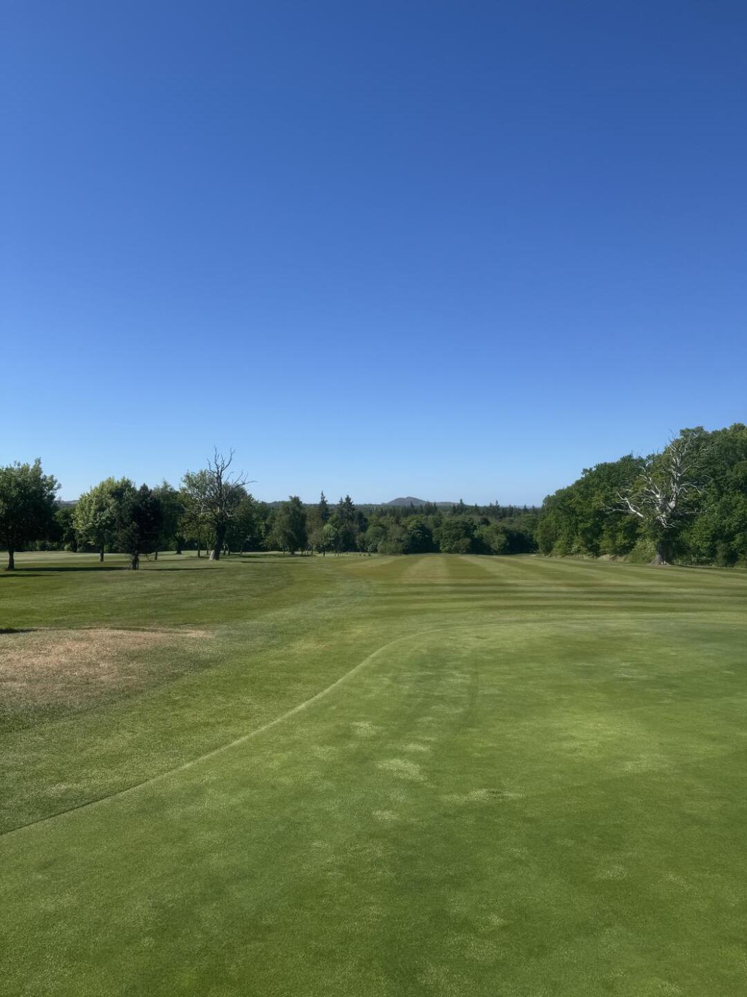 (Photo submitted by HGoom on 05/15/2025)