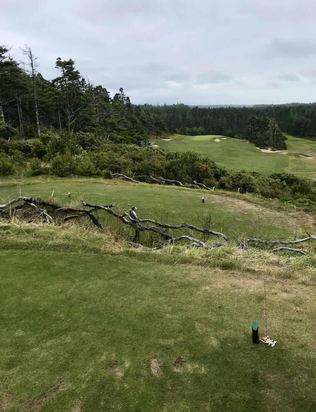 14 Tee (Photo submitted by QuantumGolfx on 10/27/2021)