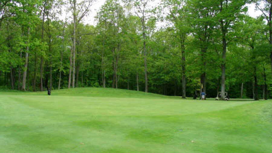 Quinnatisset CC: #13