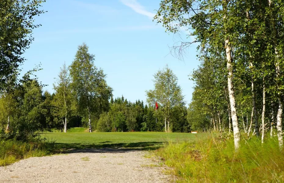 Namsos GC: #8