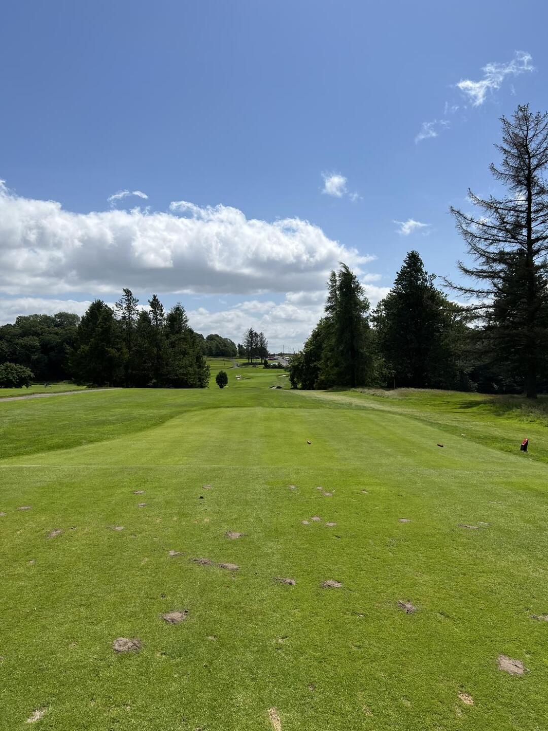 (Photo submitted by LdSqZcatg4BgFCniQBVB on 07/08/2025)