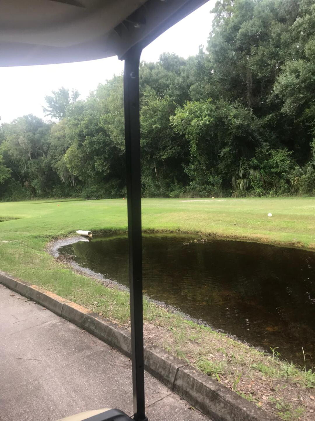 (Photo submitted by rdstabler on 06/22/2019)