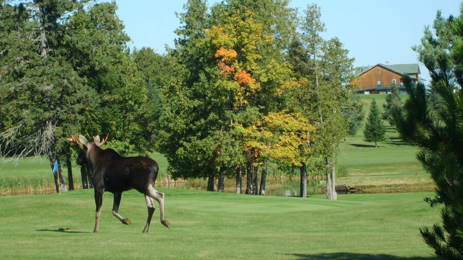 Covered Bridge GCC: #6