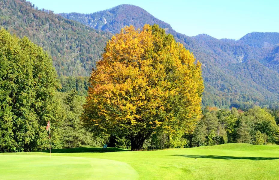 Salzkammergut GC
