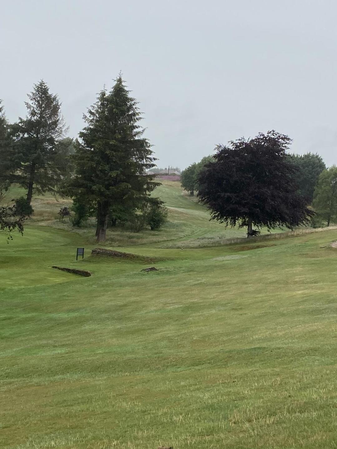 (Photo submitted by happygolf2 on 06/30/2023)