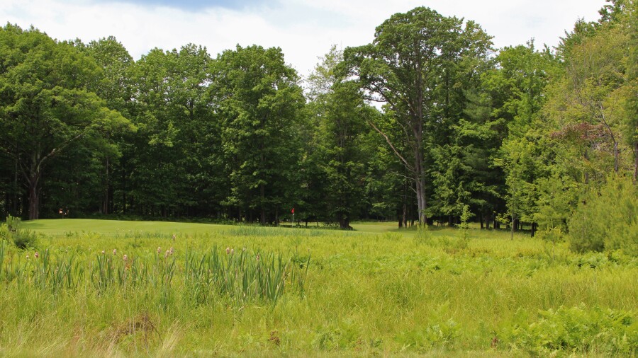 Hemlock Golf Club - hole 5