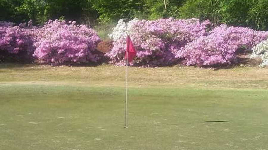 Carolina GC at Botany Woods