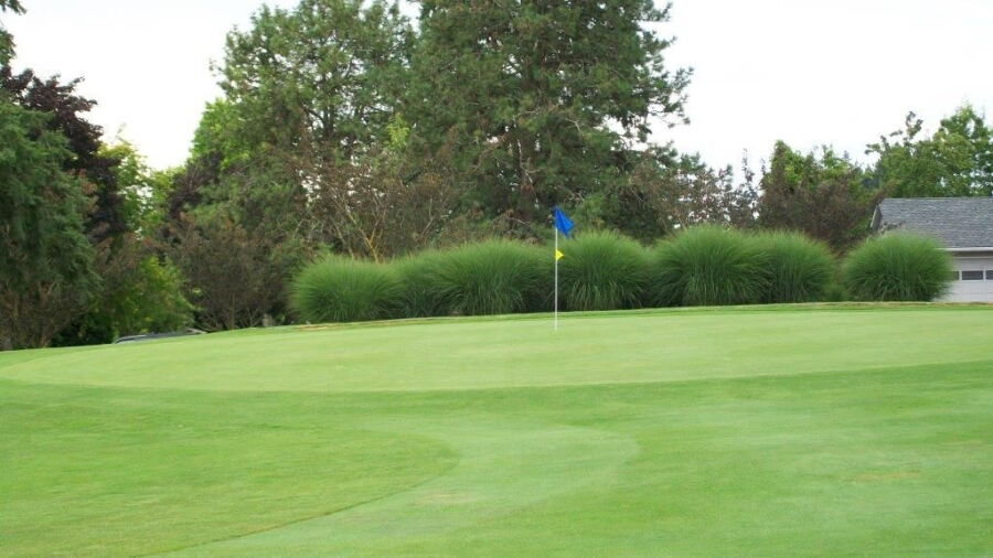 King City GC